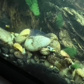 Wet Spot Tropical Fish - Aquarium Services Near Me - Portland, Oregon