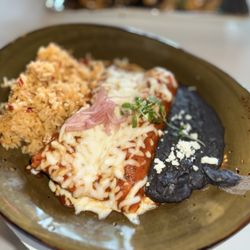 Birria Enchiladas