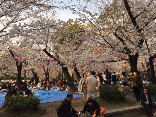 Tsuruma Park by null