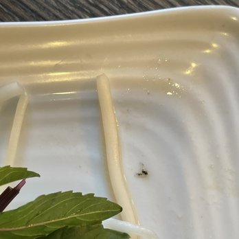 Vietnam Kitchen - Bug in the soap - Vietnamese Near Me - Arcadia, California Vietnam Kitchen - Bug in the soap - Vietnamese Near Me - Arcadia, California