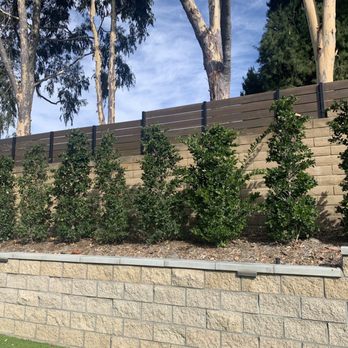 Cuadras Fence - Clear redwood wall topper privacy fence. Stained with BM semi-sold dragons breath. - Fences & Gates Near Me - Compton, California