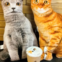 Timeless Tea Dessert Cafe - Issaquah - They have cute cat pillows all over!