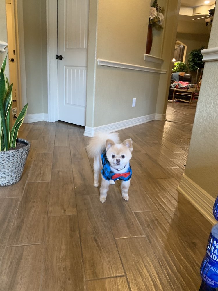 SCISSORS AND SUDS with photos Updated August 2024 35 Photos & 30