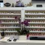 Photo of V3 Nails