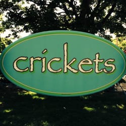 Crickets - Love this Home Accents shop!!