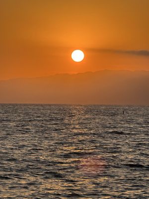Santa Monica Pier by null