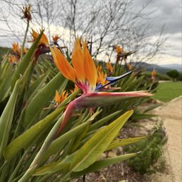 Meditation Mount - Meditation Centers Near Me - Ojai, California