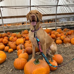 Too cute not to share Too cute not to share