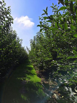 Beilke Family Farm by null