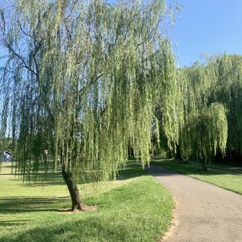 Eastland Park - Eastland Park - Parks Near Me - Nashville, Tennessee Eastland Park - Eastland Park - Parks Near Me - Nashville, Tennessee