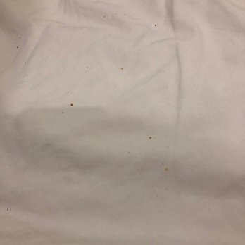 Motel 6 - When we lifted the covers we found lots of crumbs in the bed (we had JUST checked in) - Hotels Near Me - King City, California Motel 6 - When we lifted the covers we found lots of crumbs in the bed (we had JUST checked in) - Hotels Near Me - King City, California