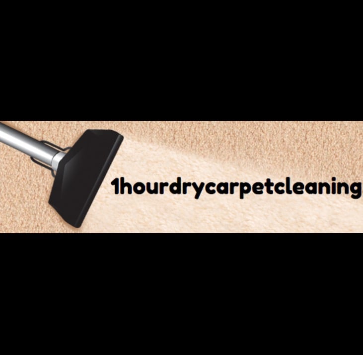 1 HOUR DRY CARPET CLEANING Updated August 2024 19 Photos 31 Linwood, Bradenton, Florida