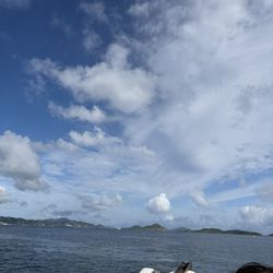 Palm Tree Charters