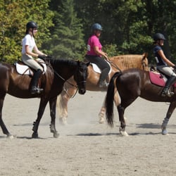 Stoneridge Equestrians