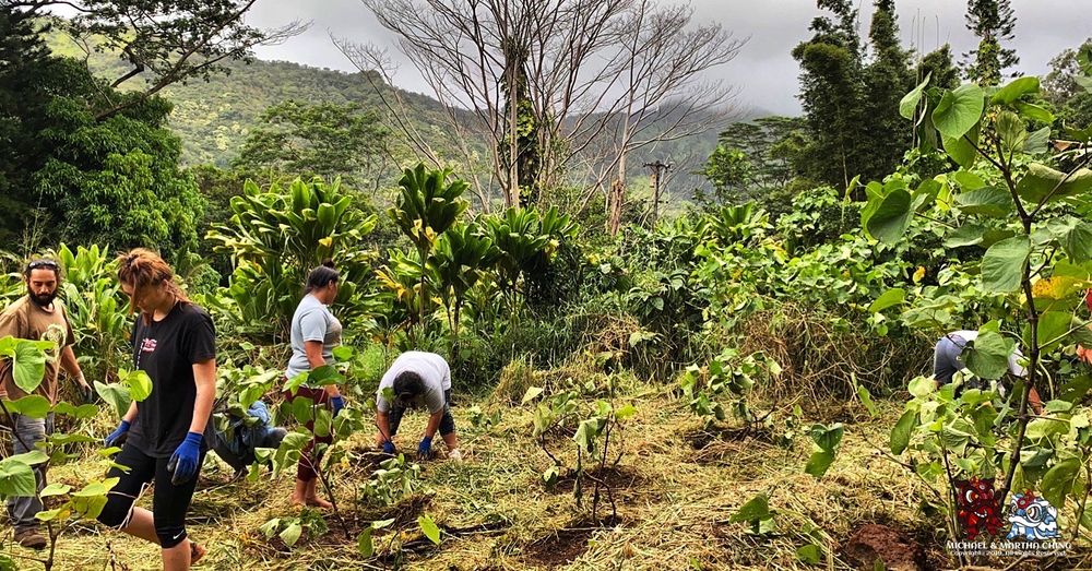 Ho'oulu 'Aina - social services organization in Honolulu, HI