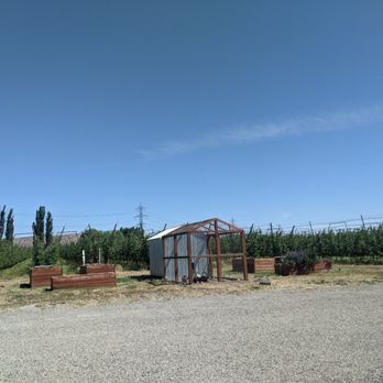 Purple Star Winery - Chickens!!! You can buy their eggs! - Wineries Near Me - Benton City, Washington Purple Star Winery - Chickens!!! You can buy their eggs! - Wineries Near Me - Benton City, Washington