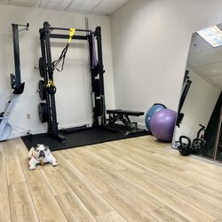 Dr. Hali Chiropractic - Hali Health & Wellness PLLC - Rehab Space & office dog Lila