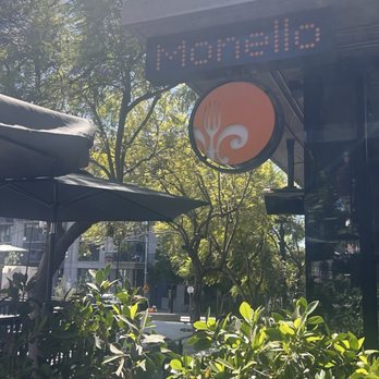 Monello - Italian Near Me - San Diego, California