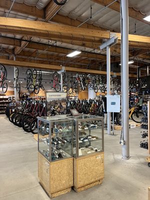 REI Bike Shop by null