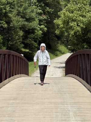 William B. Umstead State Park by null