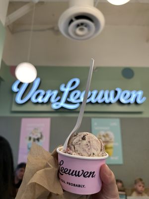Van Leeuwen Ice Cream by null