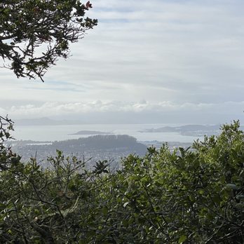 Cragmont Park - View from Cragmont Park - A scenic view of a body of water and distant landscape seen through trees and bushes in the foreground. - Parks Near Me - Berkeley, California
