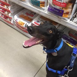 Theresa’s Country Feed and Pet - Moorpark - Jack loves shopping here