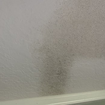 Suncrest Homes - moldy ceiling in bathroom - Mobile Home Dealers Near Me - Zephyrhills, Florida Suncrest Homes - moldy ceiling in bathroom - Mobile Home Dealers Near Me - Zephyrhills, Florida