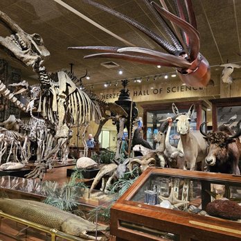 Milwaukee Public Museum - Taxidermy - Museums Near Me - Milwaukee, Wisconsin Milwaukee Public Museum - Taxidermy - Museums Near Me - Milwaukee, Wisconsin