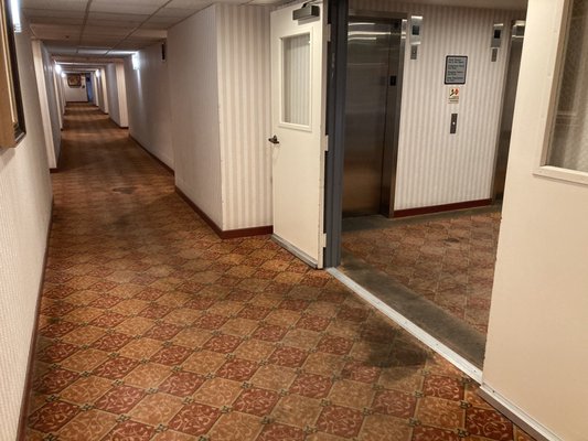 Metro Plaza Hotel by null