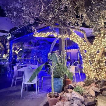 Blue Coyote Grill - The decor - Mexican Near Me - Palm Springs, California Blue Coyote Grill - The decor - Mexican Near Me - Palm Springs, California