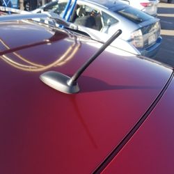 Blue Chip Car Audio - Picture of our newly replaced Nissan OEM Antenna by Blue Chip Car Audio