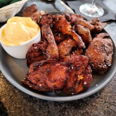 Little Coyote by null