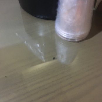 Primm Valley Resort - Mouse poop - Hotels Near Me - Primm, Nevada