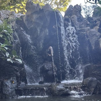 Jungle Cruise - Amusement Parks Near Me - Anaheim, California Jungle Cruise - Amusement Parks Near Me - Anaheim, California