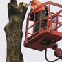 An Affordable Tree Service