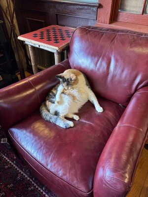 The Common Man Inn & Spa by null