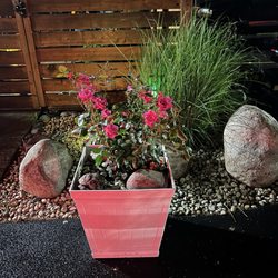 El Norteño - Beautiful outside seating!