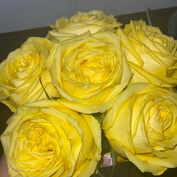 Eileen Entertainment - I had these roses for two weeks - Florists Near Me - Las Vegas, Nevada Eileen Entertainment - I had these roses for two weeks - Florists Near Me - Las Vegas, Nevada