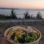 Steve’s Poké Bar