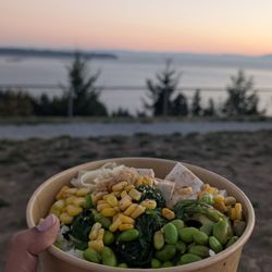 Steve’s Poké Bar - No Swimmin' (V)