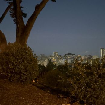 Alamo Square - Parks Near Me - San Francisco, California