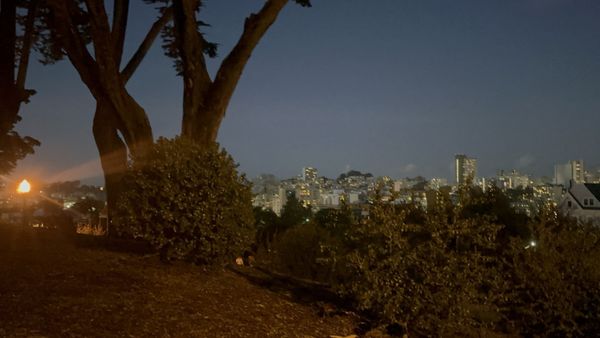 Alamo Square Park by null