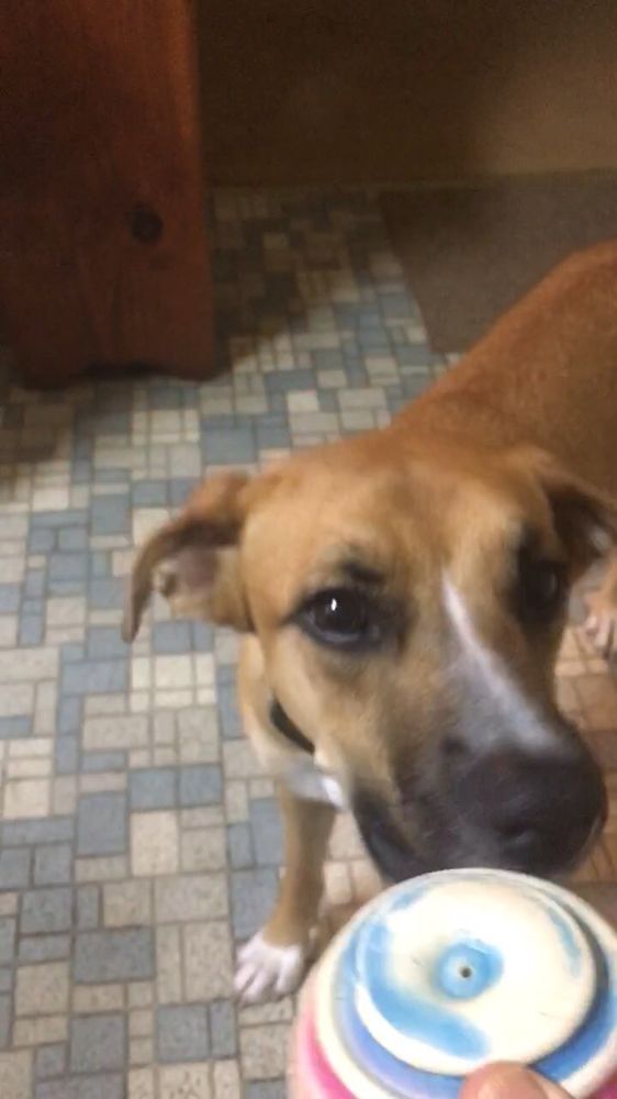 YOAKUM COMMUNITY HOSPITAL Updated September 2024 1200 Carl Ramert