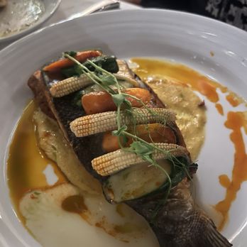 Fontana Restaurant - Sea Bass - Italian Near Me - Coral Gables, Florida Fontana Restaurant - Sea Bass - Italian Near Me - Coral Gables, Florida