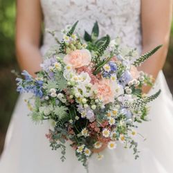 D&D Blooms