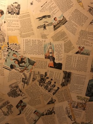 The Novel Neighbor by null