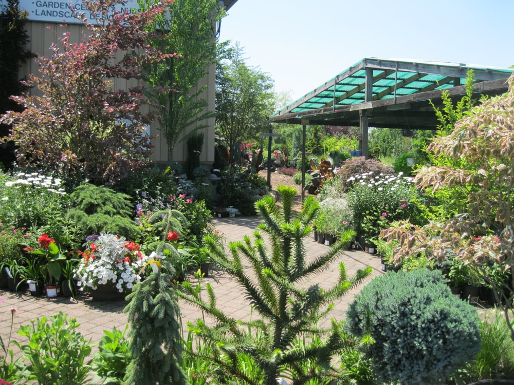 WIESNER BROS NURSERY Updated September 2024 10 Reviews 2402