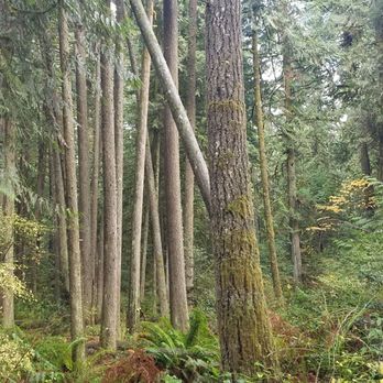 Milo McIver State Park - Parks Near Me - Estacada, Oregon