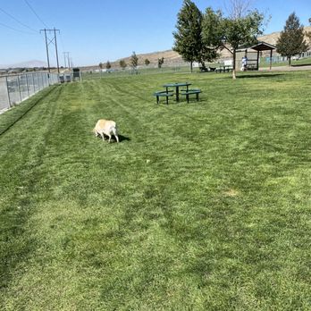 Badger Mountain Community Park - This is my dog inspecting the new park - Dog Parks Near Me - Richland, Washington